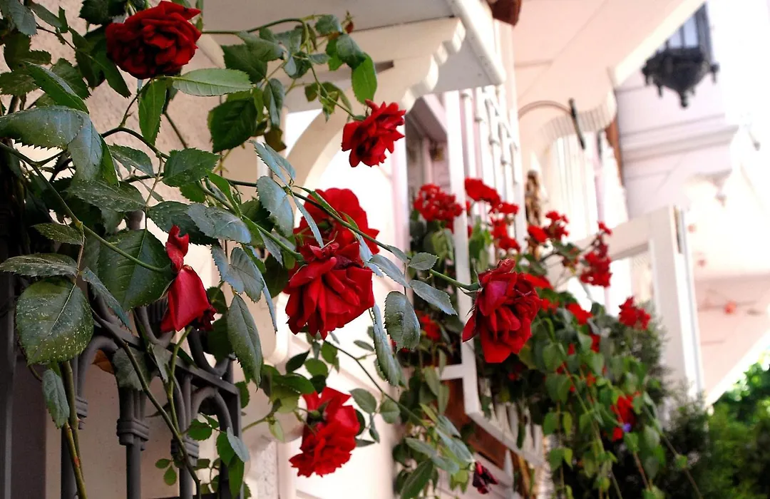 Darussaade Hotel Old City - Sultanahmet-1