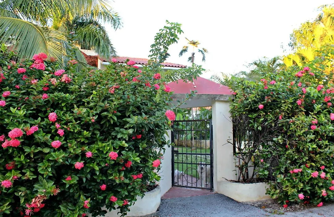 Sweet Home Punta Cana Guest House-1
