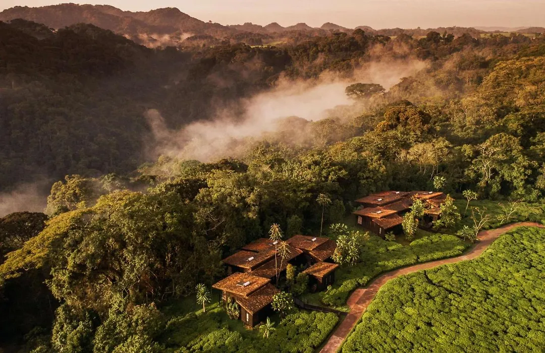 One&Only Nyungwe House-1