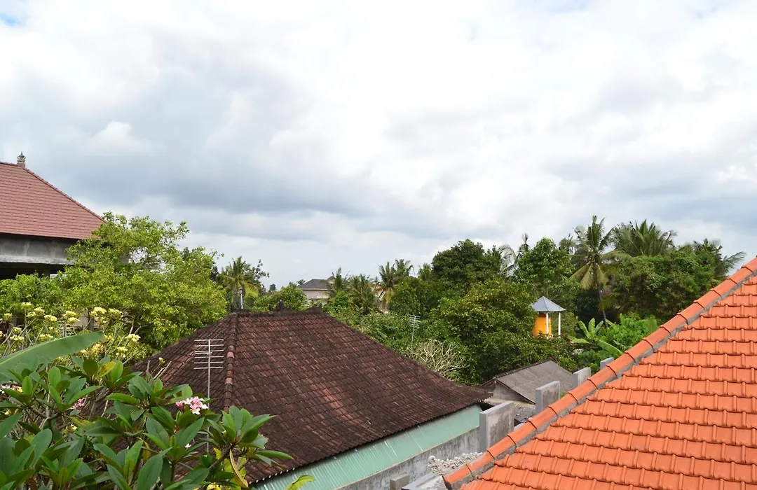 Sakha House-1