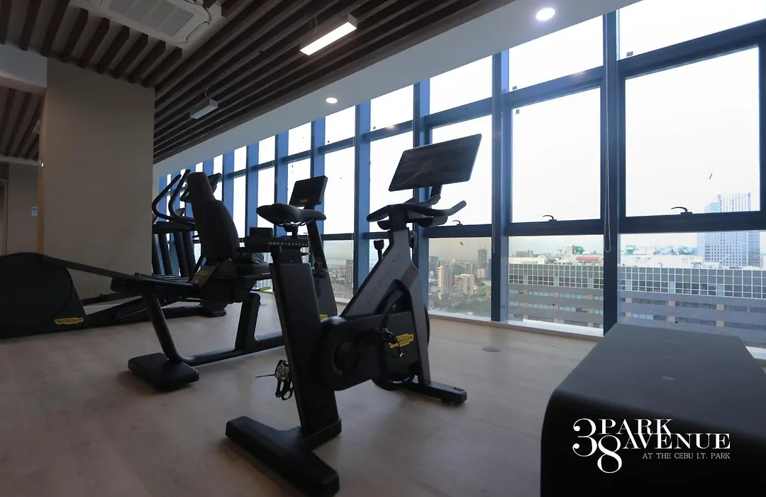 38 Park Avenue Condominium Cebu It Park - Unit Freyja-1