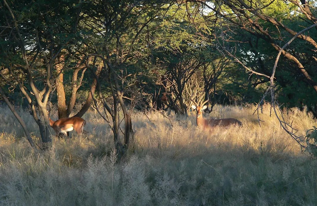 Ohange Namibia Lodge-1