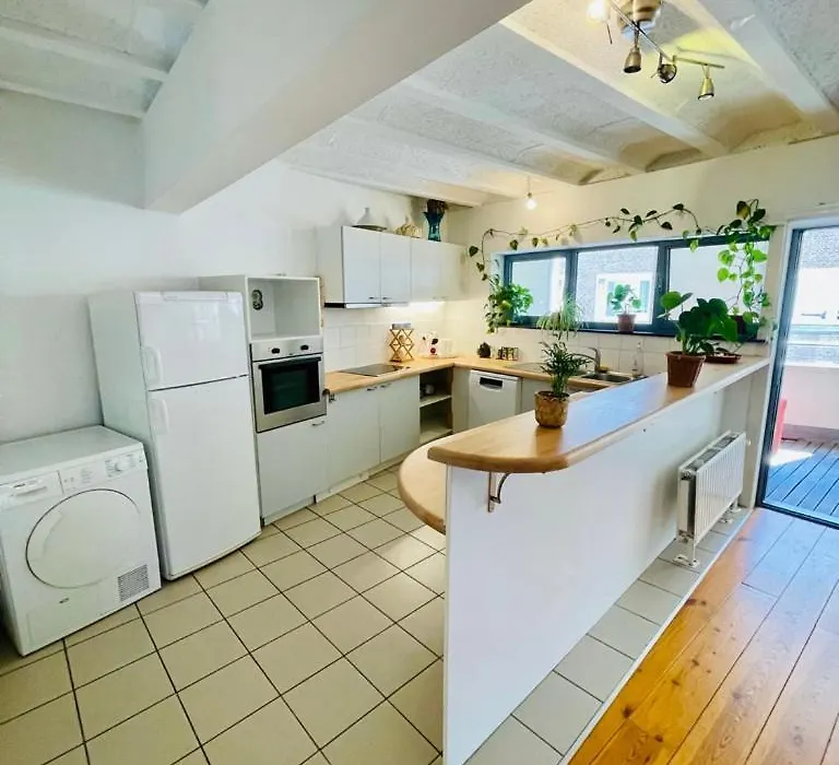 Oasis-Spacious Loft In Excellent Location-1