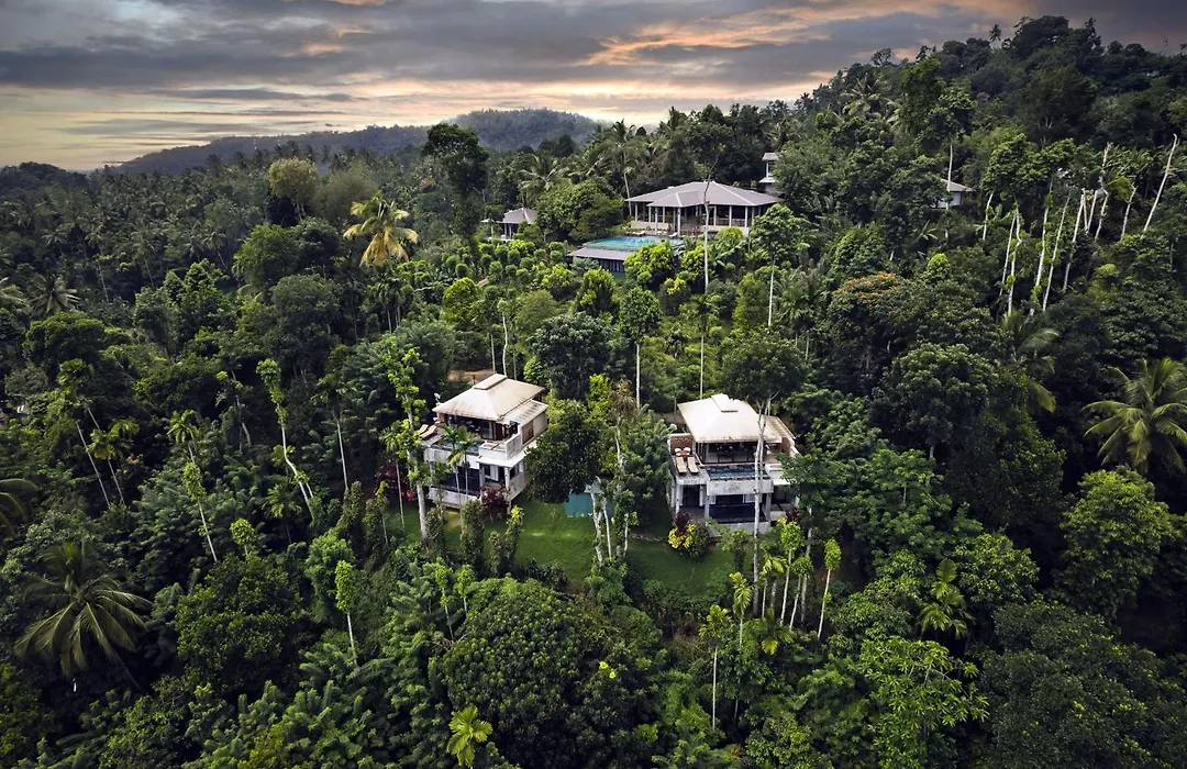 Aarunya Nature Resort - Kandy-1