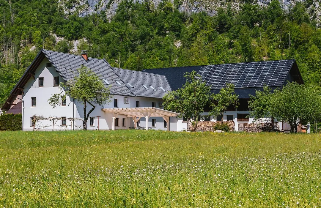 Domacija Log V Bohinju-1