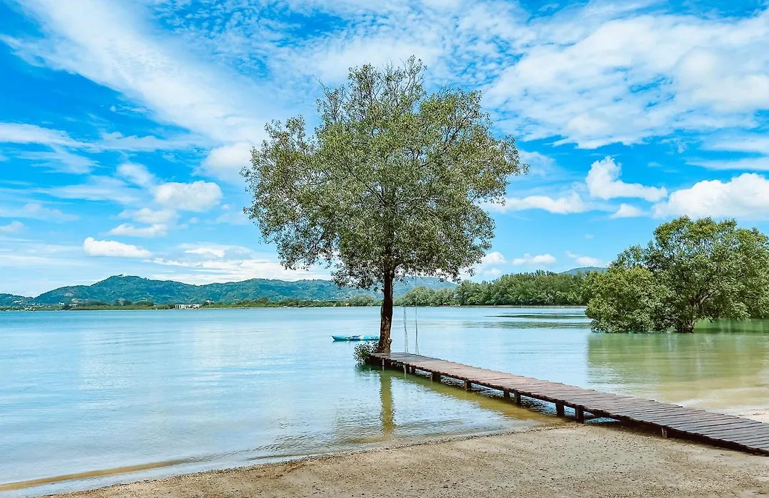 The Mangrove Phuket By Blu Monkey-1