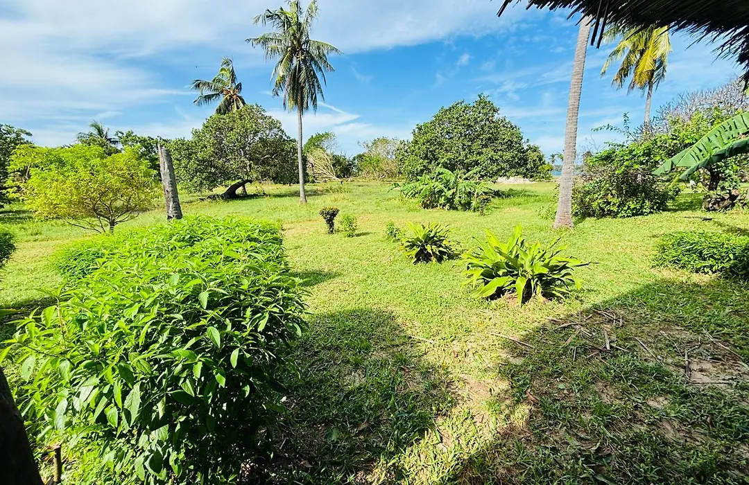 Basecamp Mafia Island-1
