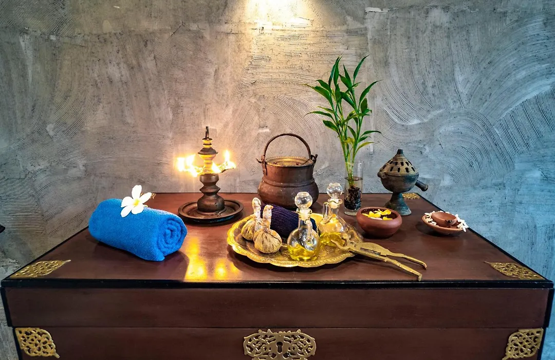 Ayur Ayur Resort & Ayurveda Retreat-1