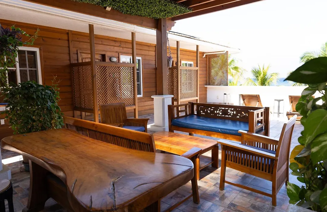Mr. Tucan Hotel-1