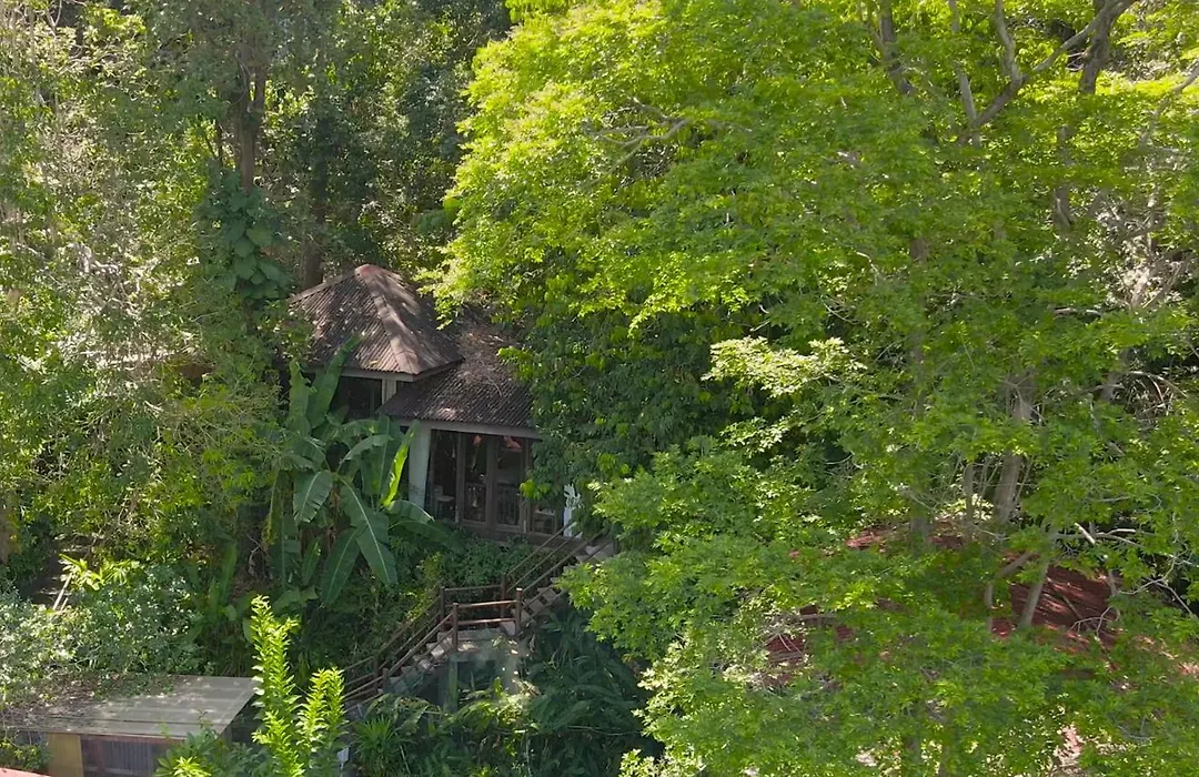 Ambong Rainforest Retreat-1