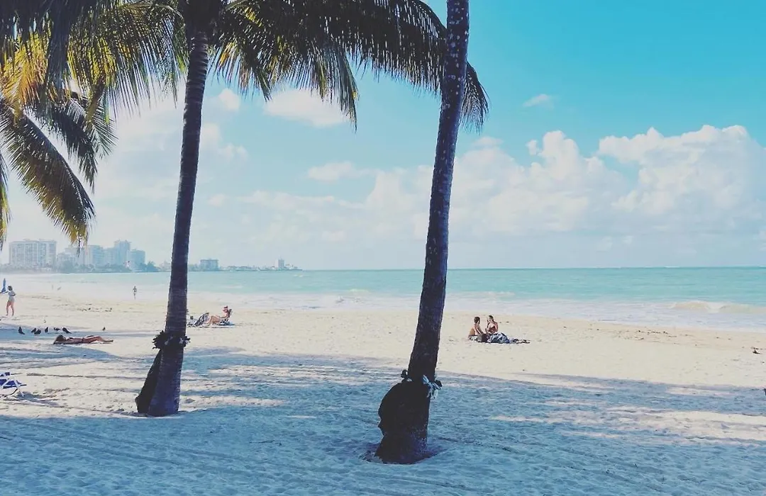 Coral Breeze Suite 317 Beach, Pool, Airport-1