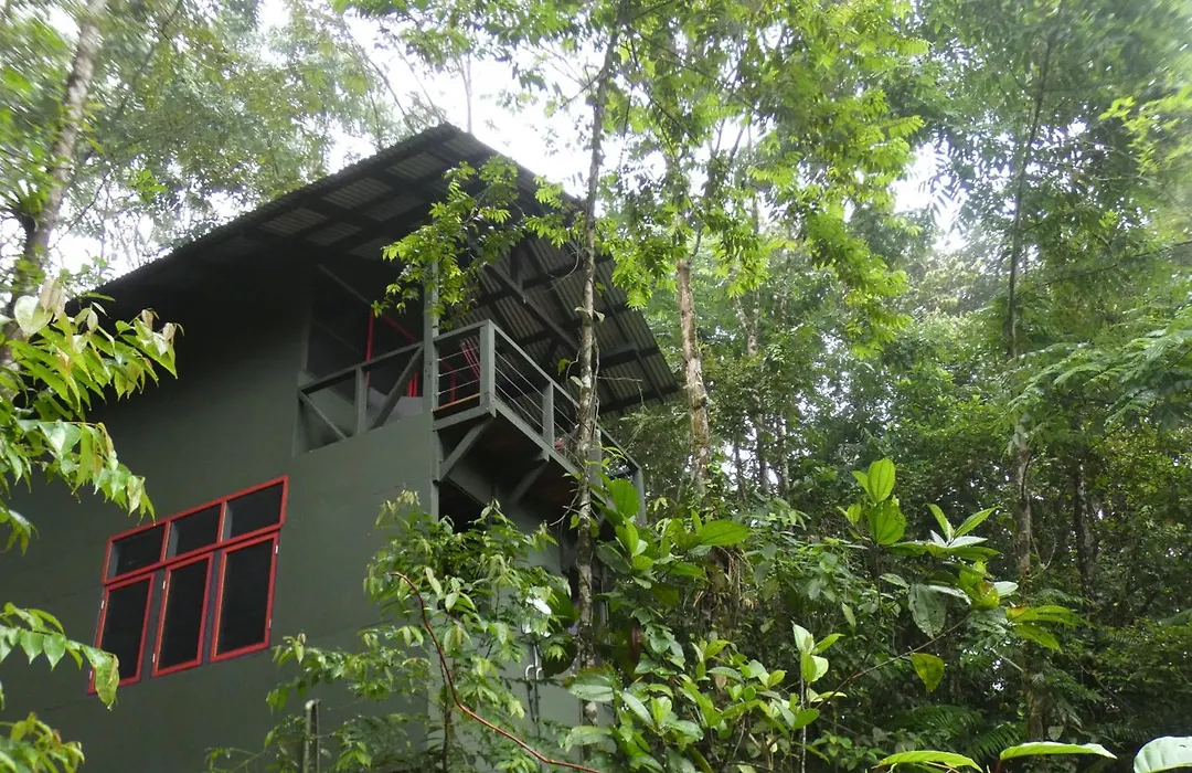 Yatama Rainforest Ecolodge-1