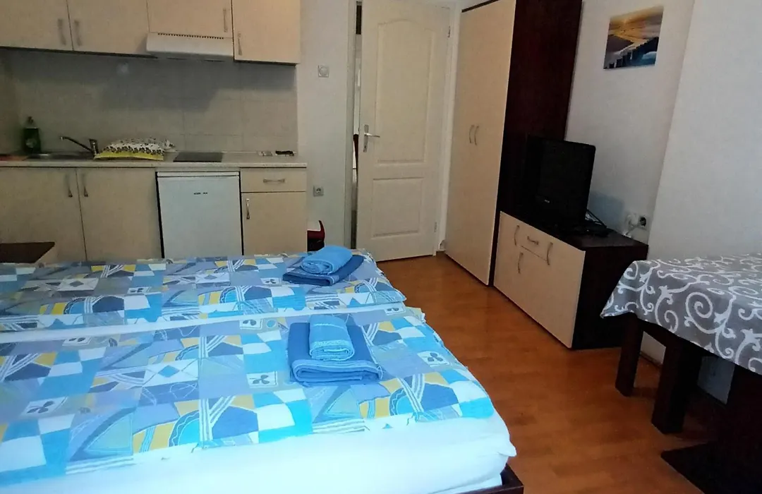 Maja V Apartmani Sokobanja-1