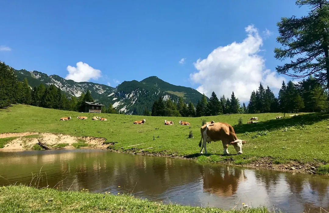 Apartma V Objemu Gora - Krvavec-1