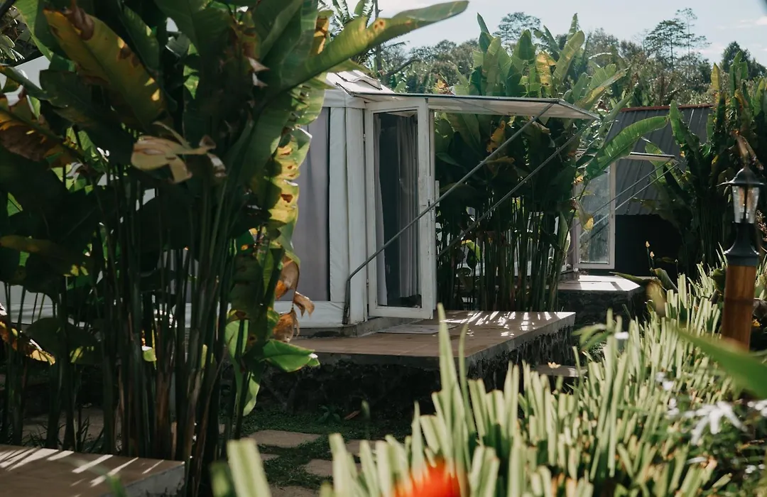 Alam Kita Glamping & Plantation-1