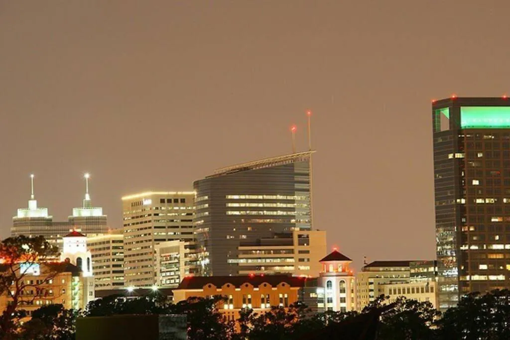 Houston Up Scale Abode-1