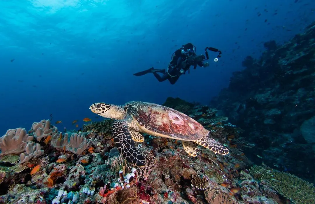 Marmora Maldives-All-Inclusive Guesthouse With An Excursion Everyday-1
