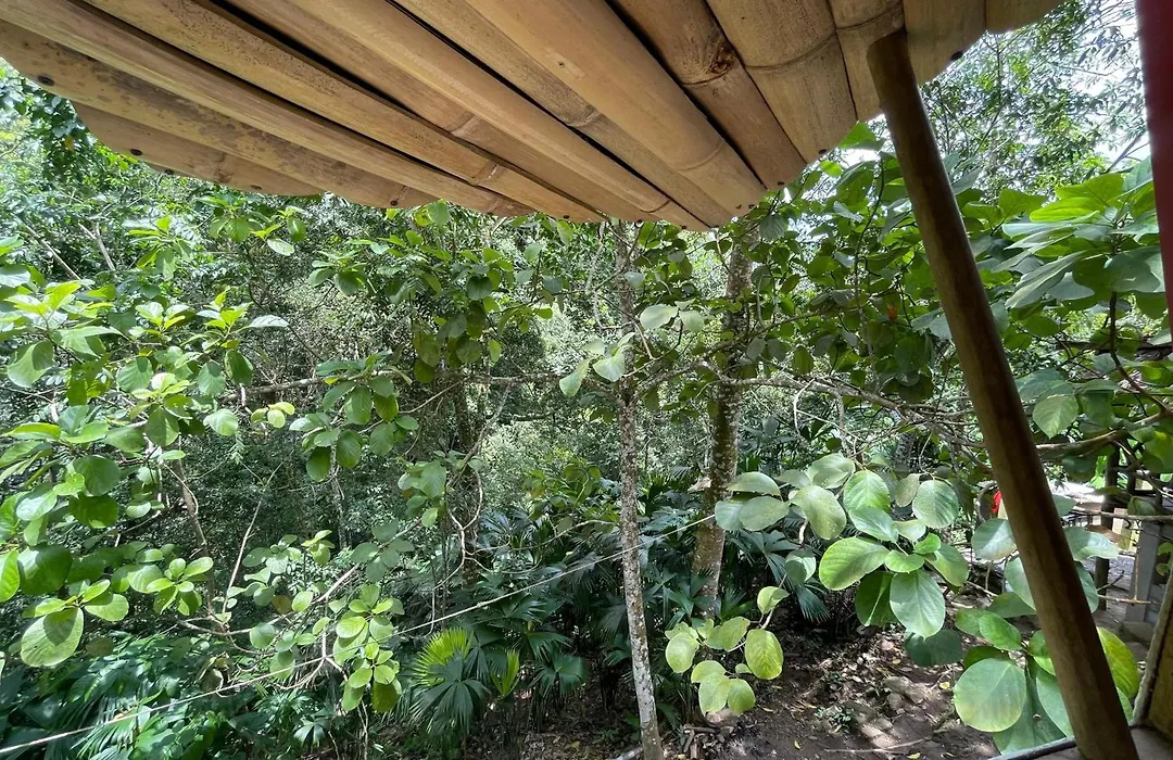 Cascada Escondida Glamping-1