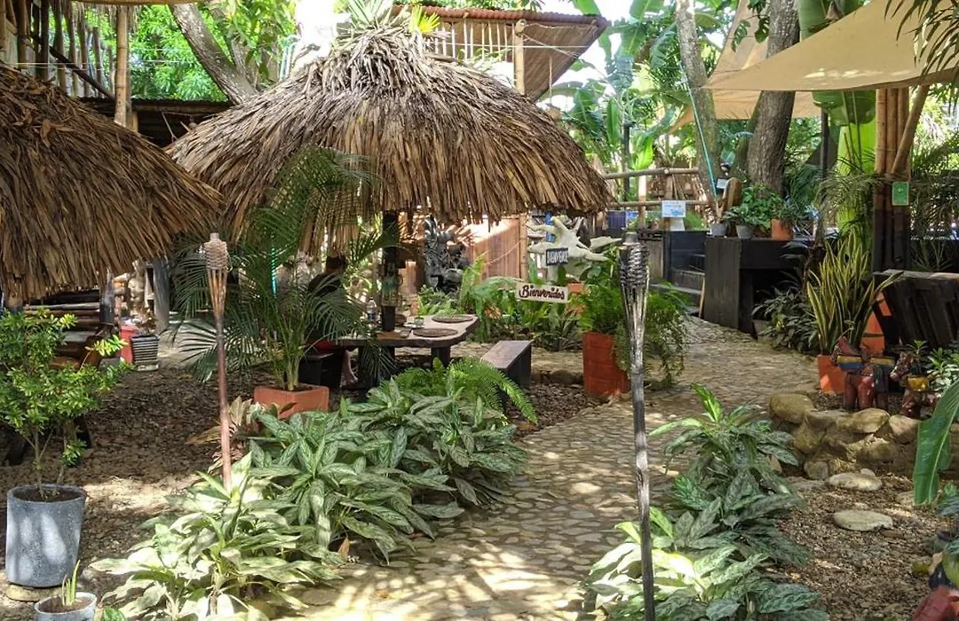 La Natura Hostel & Pool-1