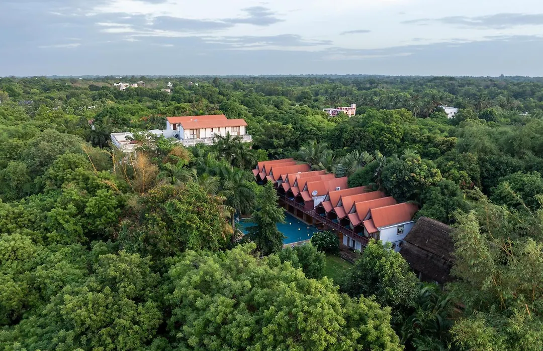 Mango Hill Auroville Pondicherry-1