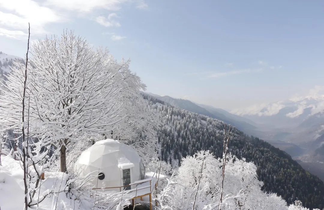 Glampeco Manali-1