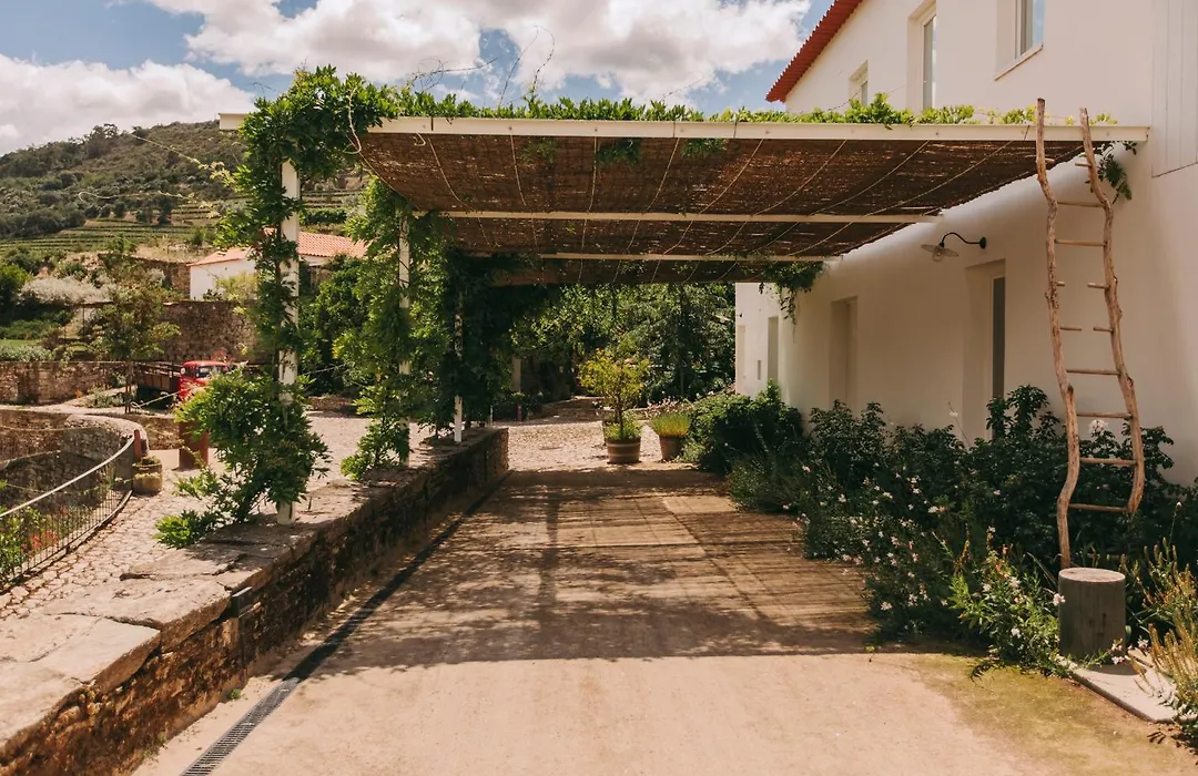 Ventozelo Hotel & Quinta-1