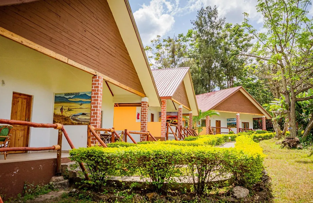 Meru View Lodge-1