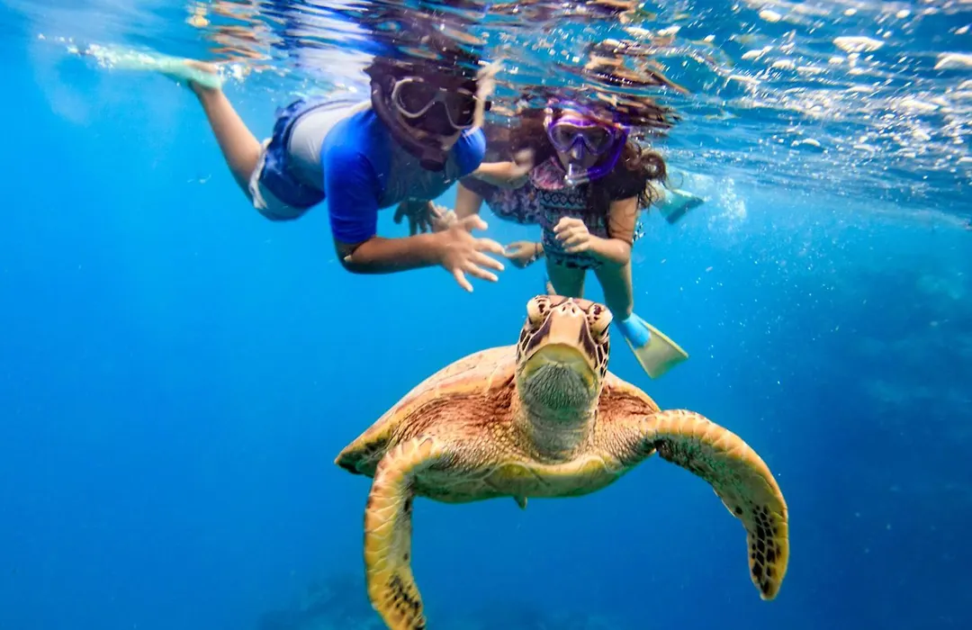 The Rarotongan Beach Resort & Lagoonarium-1