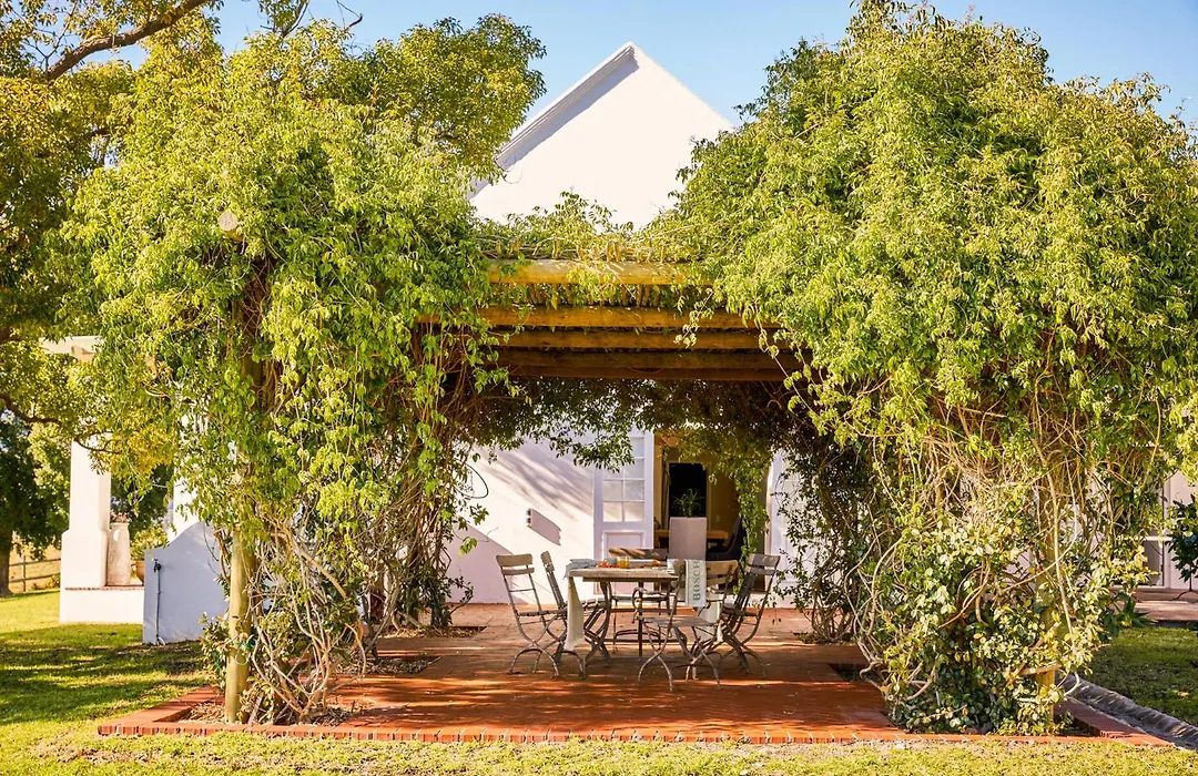 Boschendal Farm Estate-1