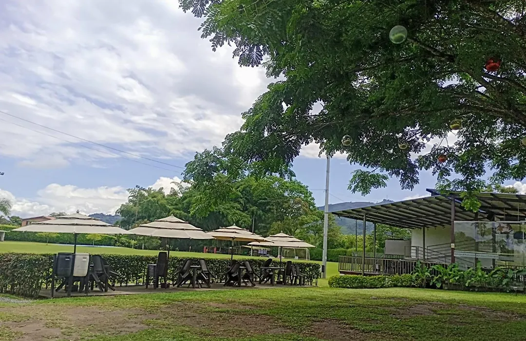 Hotel Palo Grande Cf Pereira-1
