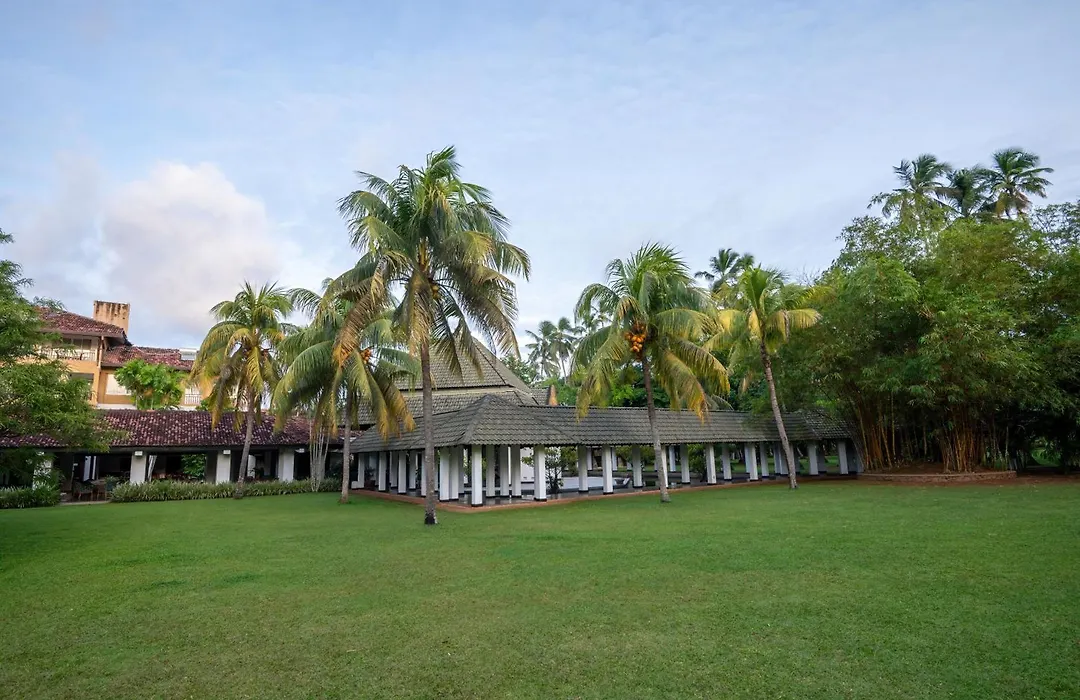 The Palms-1