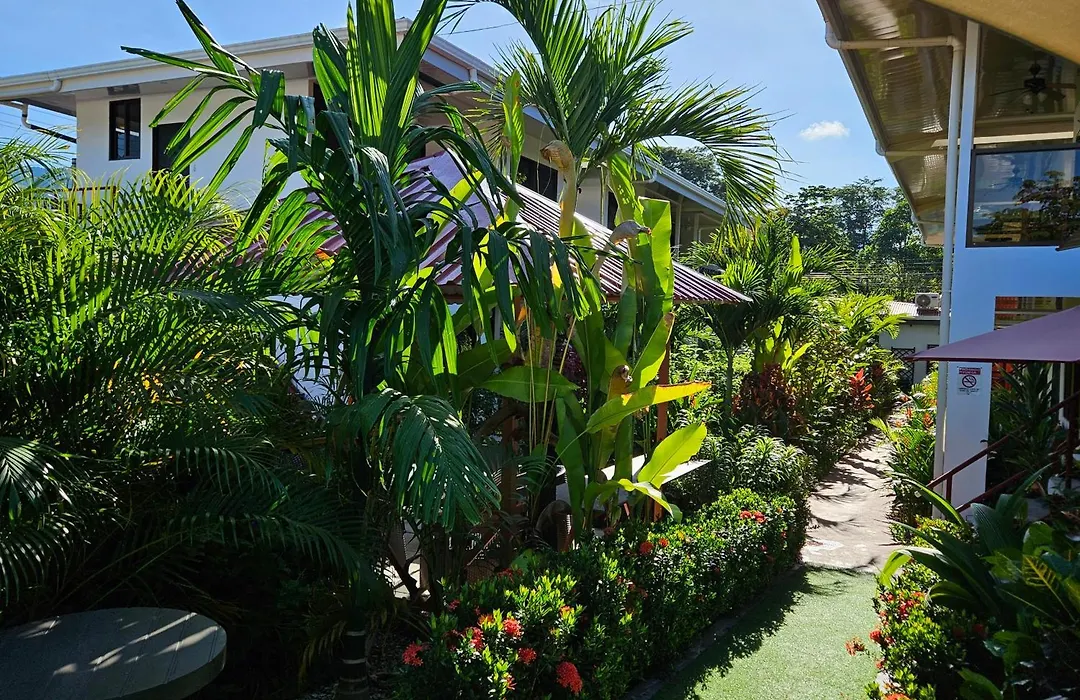 Ballena Rey Hotel-1