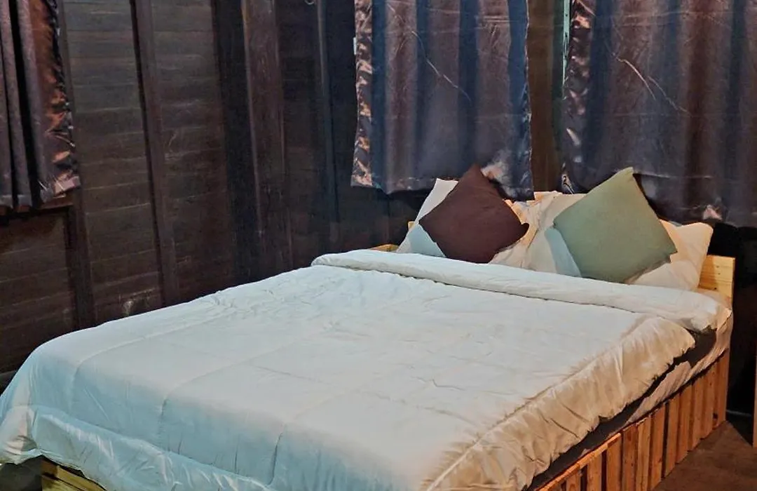 Cozy Nest Cnx-1