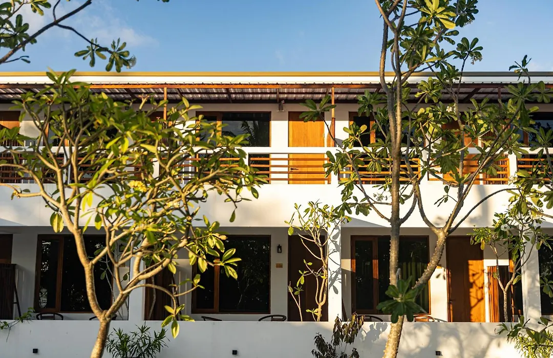 Zen Inn Fulhadhoo-1