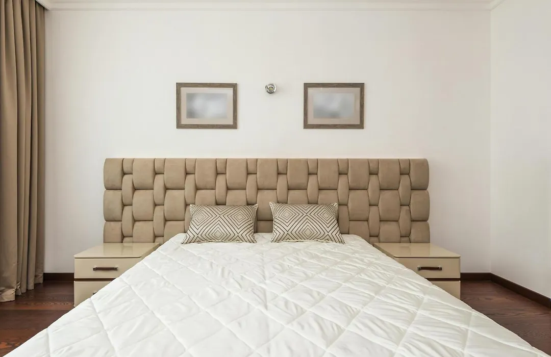 Hotel Krone Plaza Near Igi Airport Delhi-1