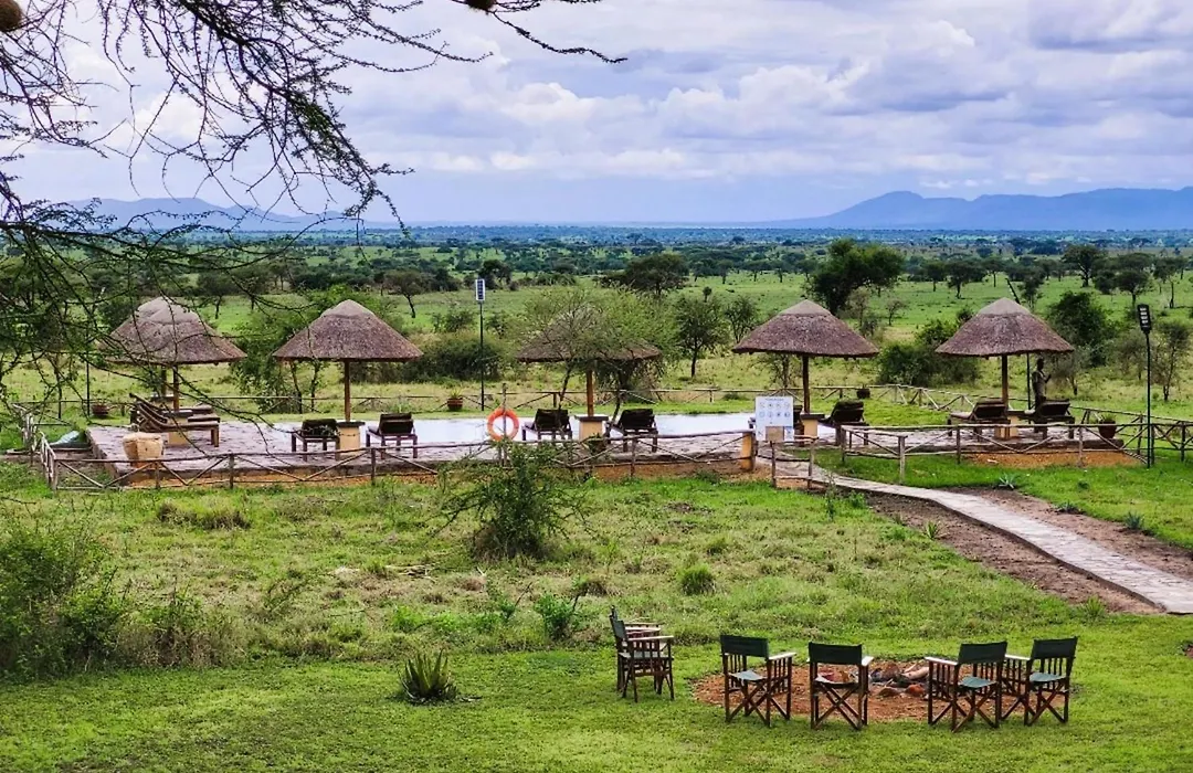 Africa Safari Serengeti Ikoma-1