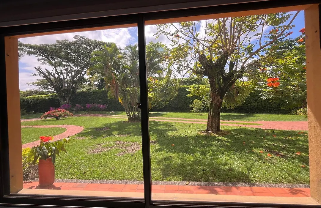 La Casa De Los Libros-1