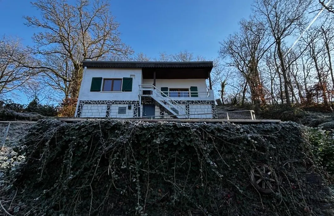 Tunnel House-1