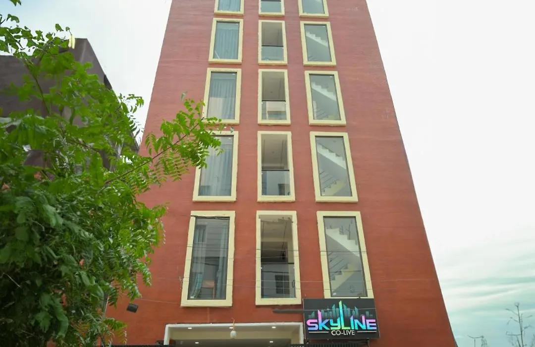 Skyline Colive-1