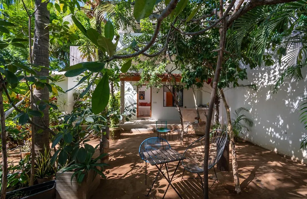 Hotel Villa Mozart Y Macondo-1