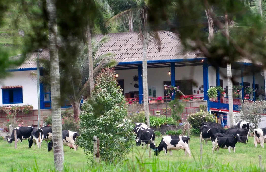 Reserva Guadalajara - Authentic Farm In Cocora Valley-1