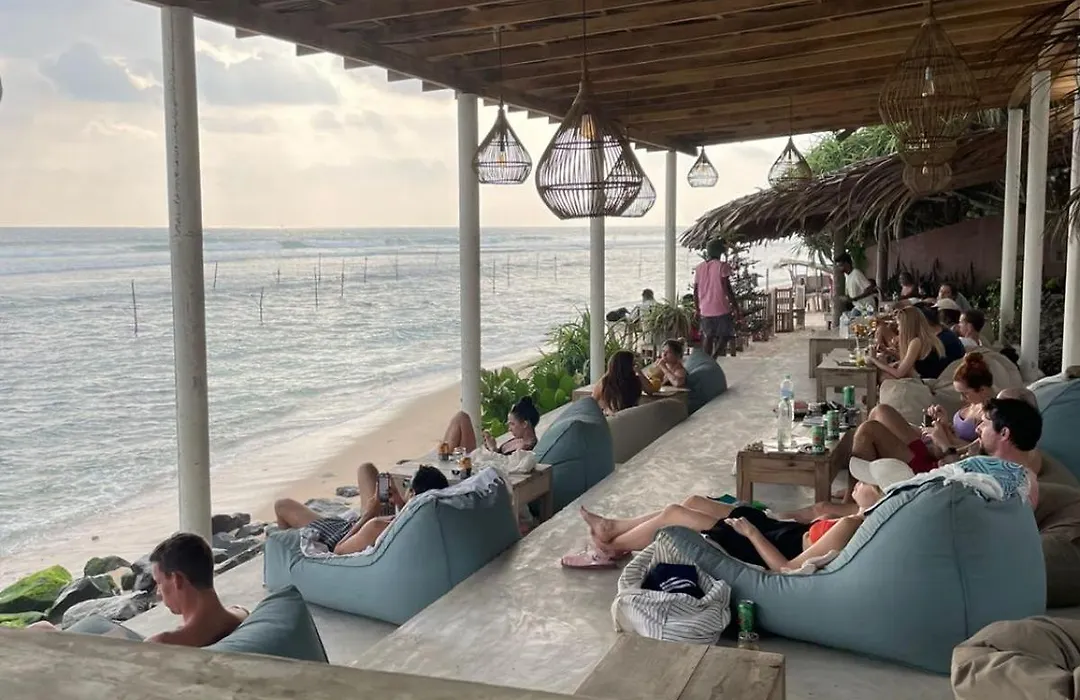 Animal Surf Point-1