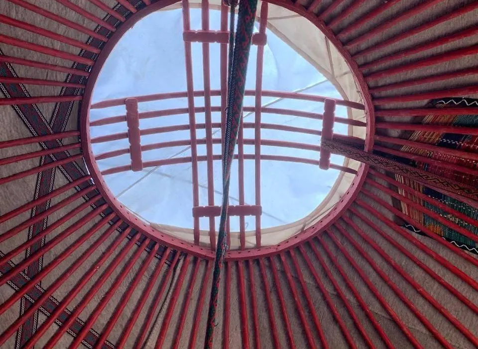 Bel Tam-1