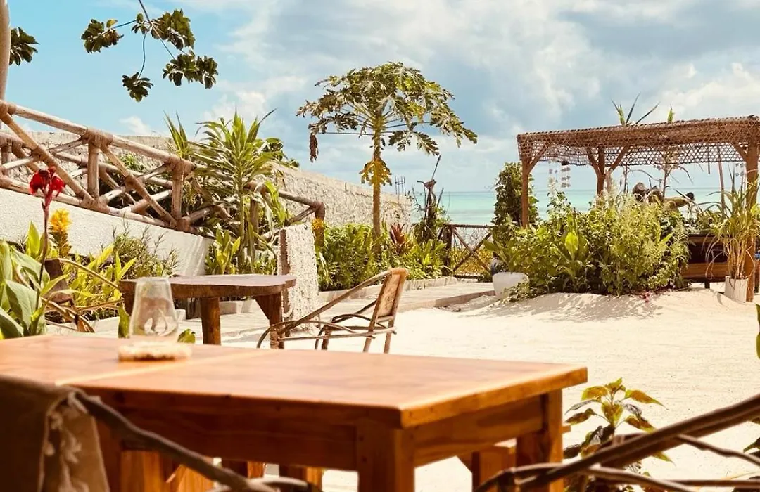 Boheme Zanzibar-1