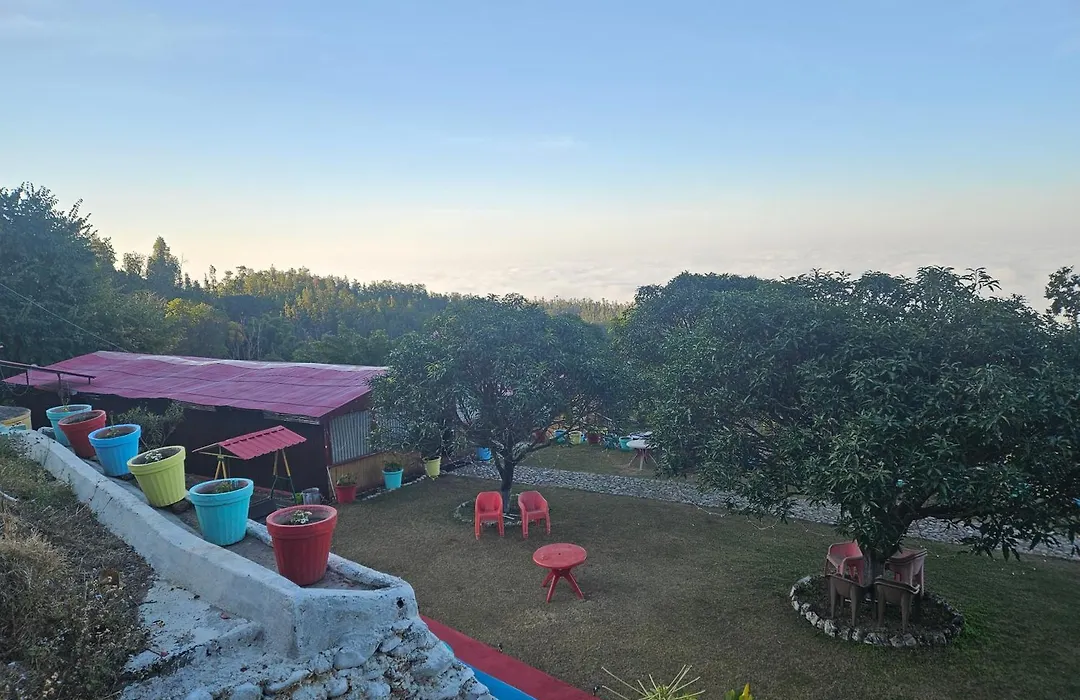 Forest Bliss Resort-1