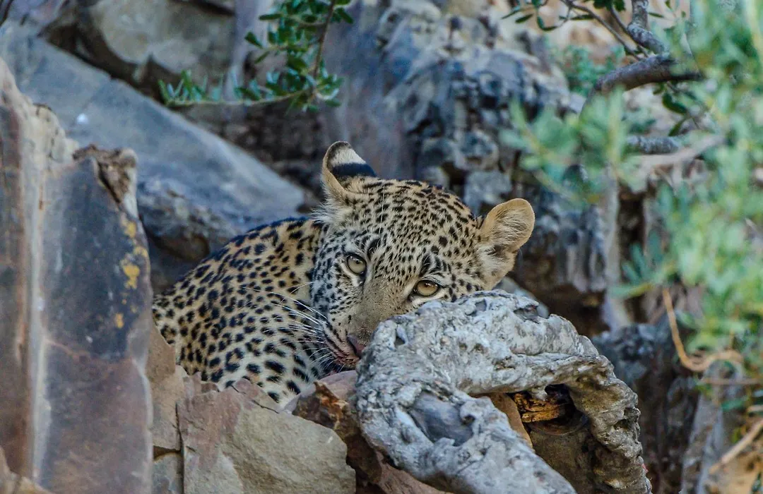 Kwandwe Private Game Reserve - Great Fish River Lodge-1