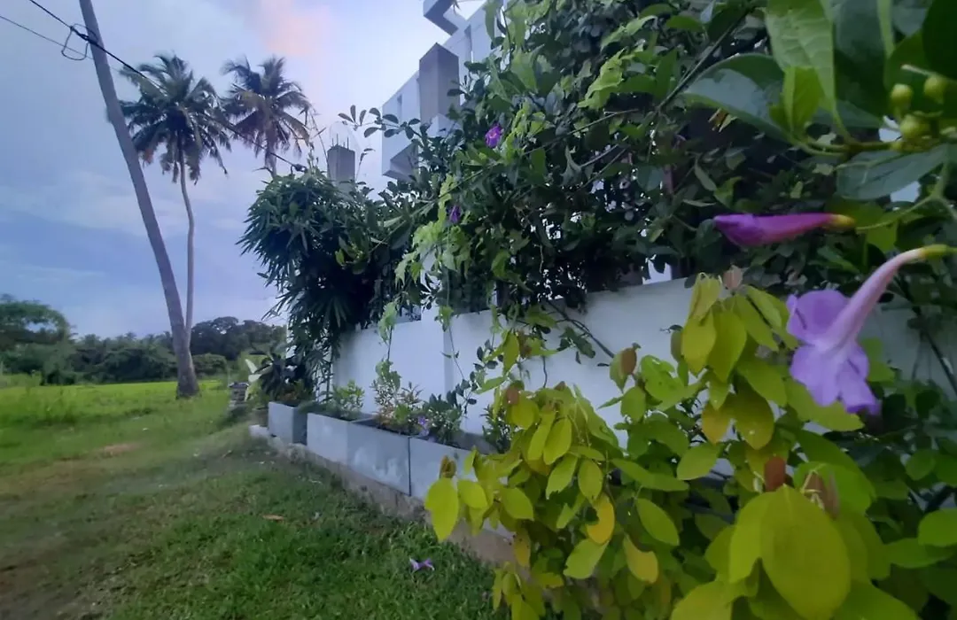 Anuradhapura Kingdom View Resort-1