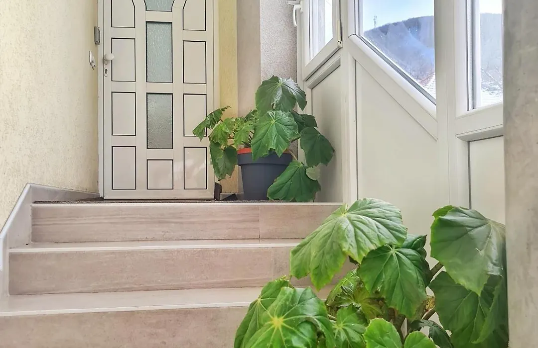 Vila Aleksandra 2 Studio 8-1