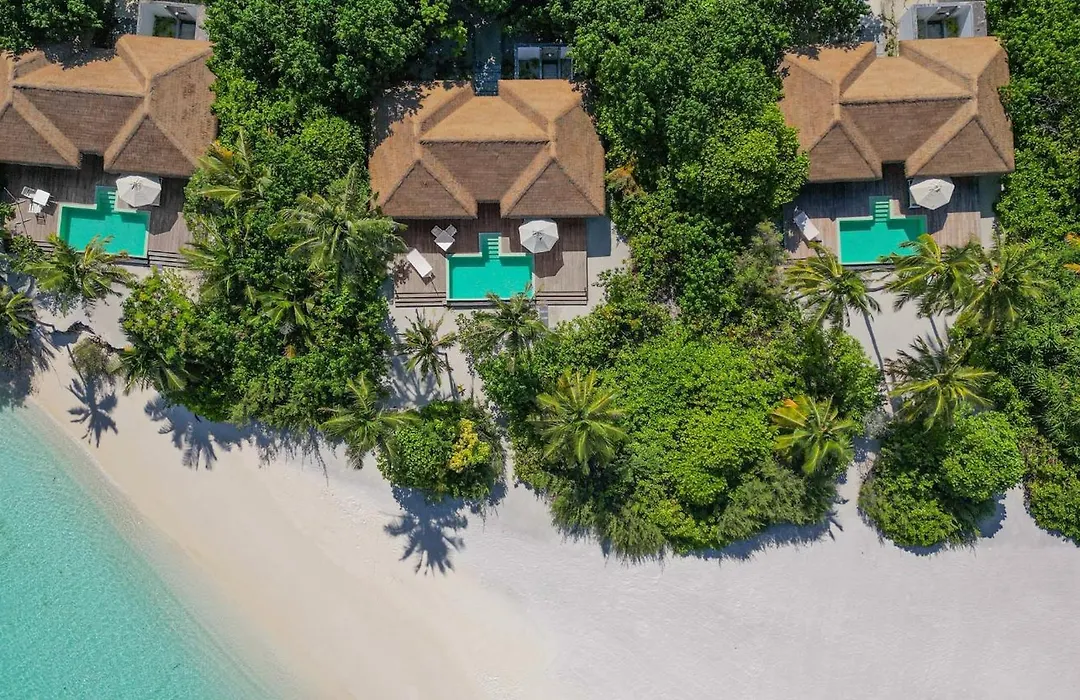 Noku Maldives, Vignette Collection By Ihg (Adults Only)-1