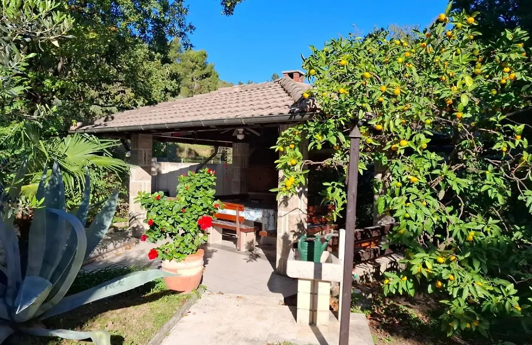 Magnolia Garden, 12 Min Walk To The Beach-1